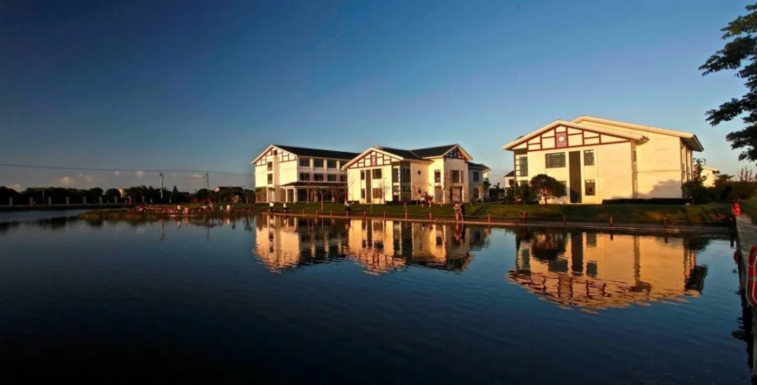 20240905165055070558.jpg 15.jpg