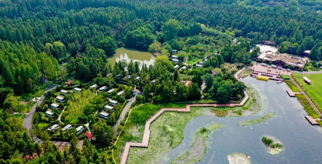 20240905165118034700.jpg 16.jpg